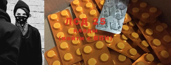 ПСИЛОЦИБИНОВЫЕ ГРИБЫ Белокуриха