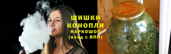 ПСИЛОЦИБИНОВЫЕ ГРИБЫ Белокуриха