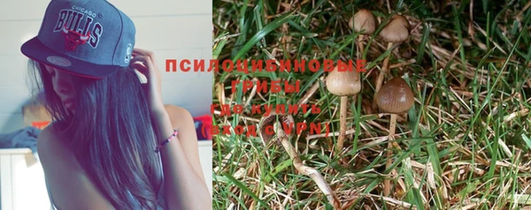 ПСИЛОЦИБИНОВЫЕ ГРИБЫ Белокуриха