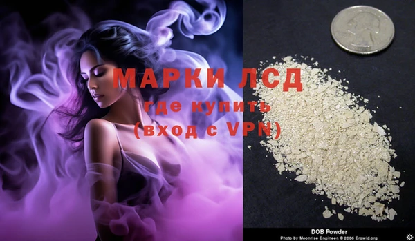 мяу мяу мука Снежинск