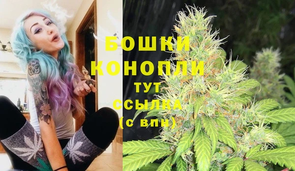 ПСИЛОЦИБИНОВЫЕ ГРИБЫ Белокуриха